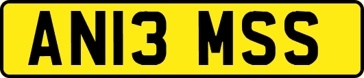 AN13MSS