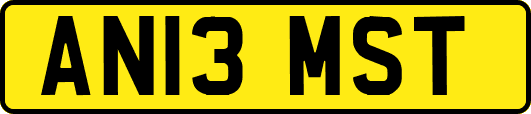 AN13MST