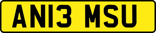 AN13MSU