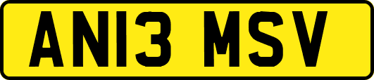 AN13MSV