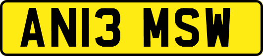 AN13MSW