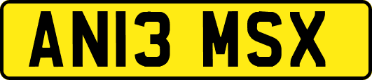 AN13MSX