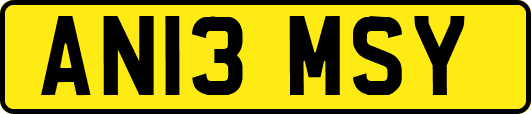 AN13MSY