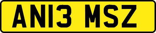AN13MSZ