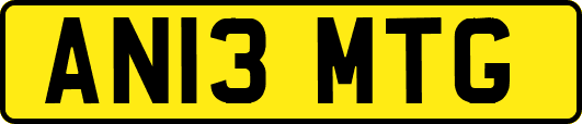 AN13MTG