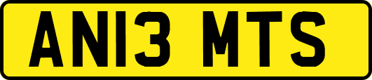 AN13MTS