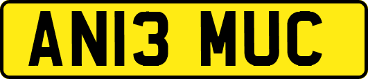 AN13MUC