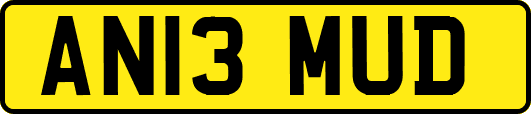 AN13MUD