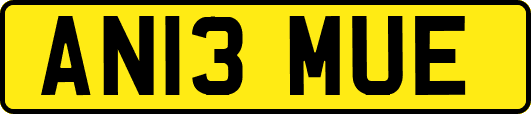 AN13MUE