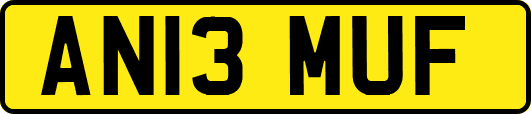 AN13MUF