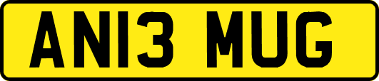 AN13MUG