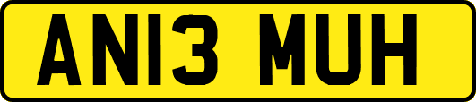 AN13MUH