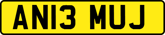 AN13MUJ