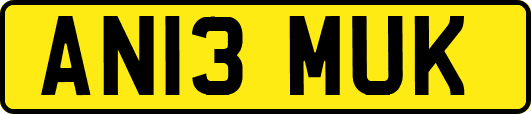 AN13MUK