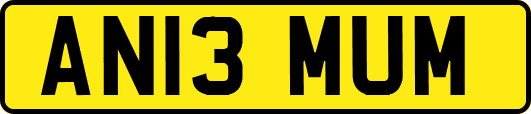 AN13MUM
