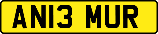 AN13MUR