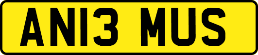 AN13MUS