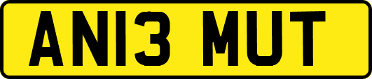 AN13MUT