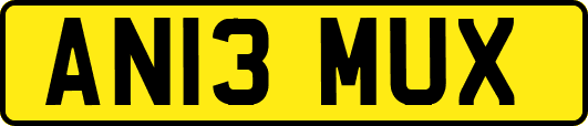 AN13MUX