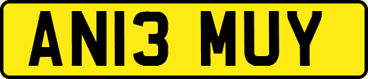 AN13MUY