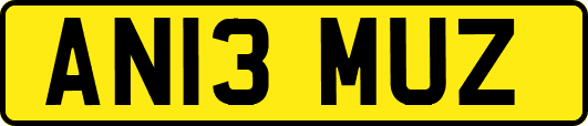 AN13MUZ