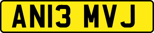 AN13MVJ