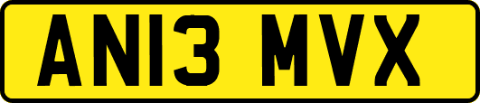 AN13MVX