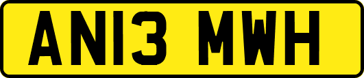 AN13MWH