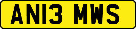 AN13MWS
