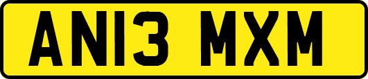 AN13MXM