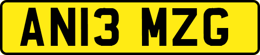 AN13MZG