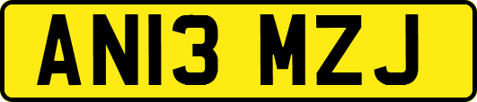 AN13MZJ