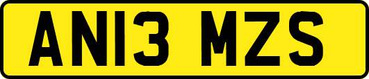 AN13MZS