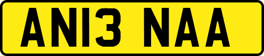 AN13NAA