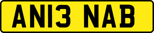 AN13NAB