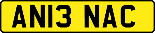 AN13NAC