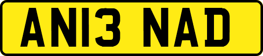 AN13NAD