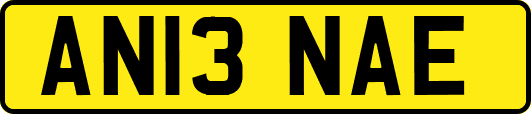 AN13NAE