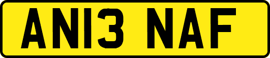 AN13NAF