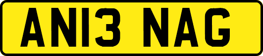 AN13NAG