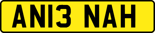 AN13NAH
