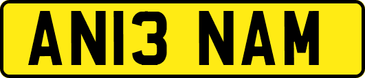 AN13NAM