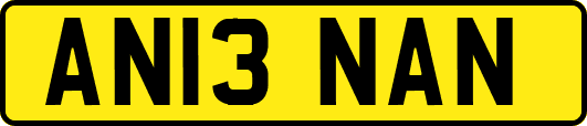 AN13NAN