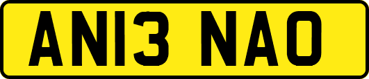 AN13NAO