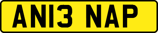 AN13NAP