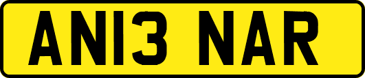 AN13NAR