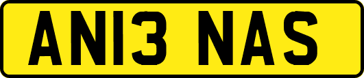 AN13NAS