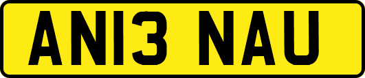AN13NAU