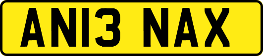 AN13NAX
