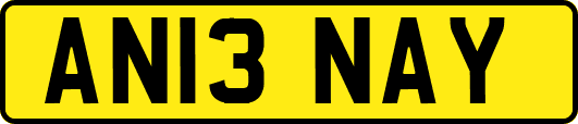 AN13NAY